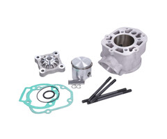 cilinder met kop polini big bore aluminium 80cc 50mm rs4, rx-sx 50, senda2006, senda2006> 109.0016