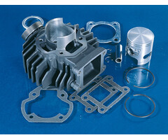 cilinder polini 45mm chappy ac 2t 166.0050