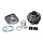 cilinder met kop malossi 40mm minarelli hor ac 318562
