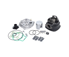 cilinder met kop malossi 2t 47mm sco piaggio lc 317353