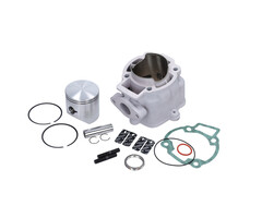 cilinder malossi lc ex kop 65mm runner 180cc 2t 3120295