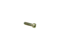 stelschroef bing stationair 19mm 150-078-06