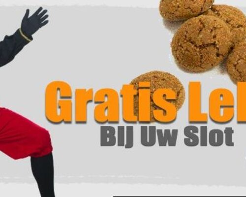 Sinterklaas bij Artsloten