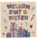 Servetten Welkom Sint & Piet Cartoon (20st)