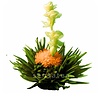 9 Theebloemen geschenkverpakking - Luxe Sensatea cadeauset