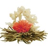 10 theebloemen Spring White + bewaarzak + gratis kaart
