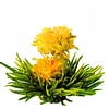 10 theebloemen Flavored Duette + bewaarzak + gratis kaartje