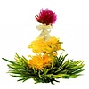 10 theebloemen Rainbow Melody + bewaarzak + gratis kaartje