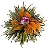 10 theebloemen Smooth Orange + bewaarzak + gratis kaartje