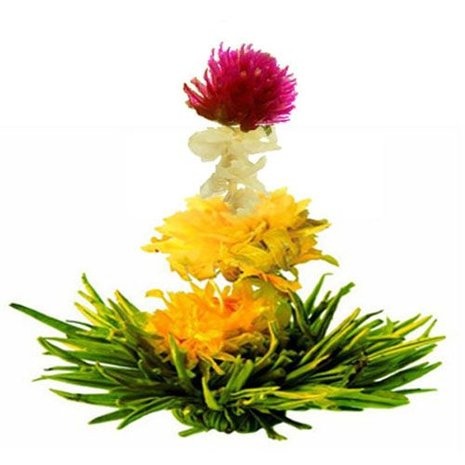 25 individuele Theebloem Doosjes - Luxe relatiegeschenk & Cadeauset