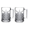 Pasabahce Timeless Luxe Koffie & Theeglas 31cl-Facetgeslepen Glazen met Oor( Set van 2 of 6 stuks)