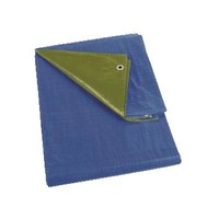 Afdekzeil 6x10m 'Extra' PE 250 gr/m² - Groen (onderkant Blauw)
