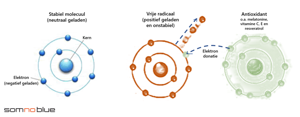 Hoe melatonine  u beschermt tegen vrije radicalen