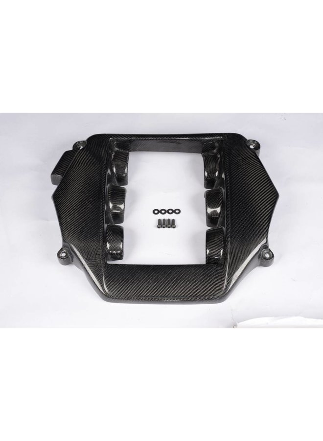 Carbon engine cover GTR