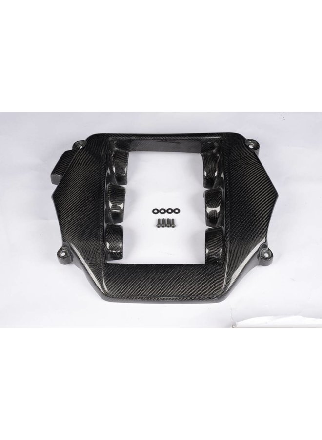Copri motore in carbonio GTR