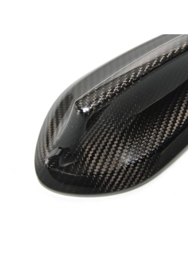 Pinna radio in carbonio