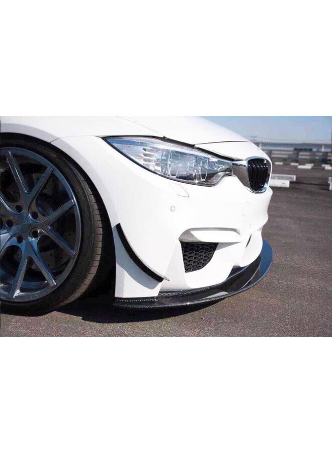 Canards de carbono M3