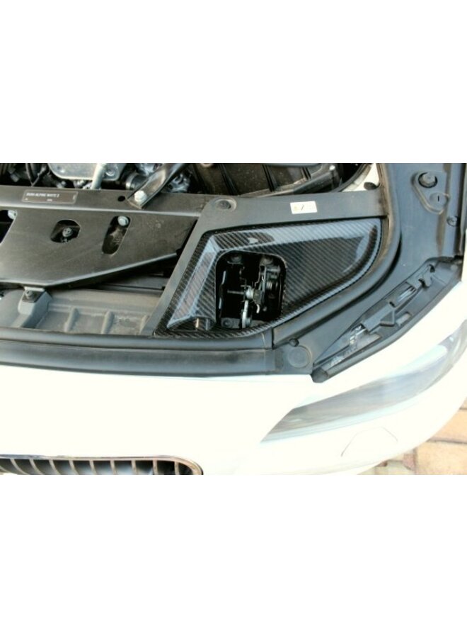 Carbon bonnet lock cover