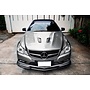 Carbon W207/C207 Lippe
