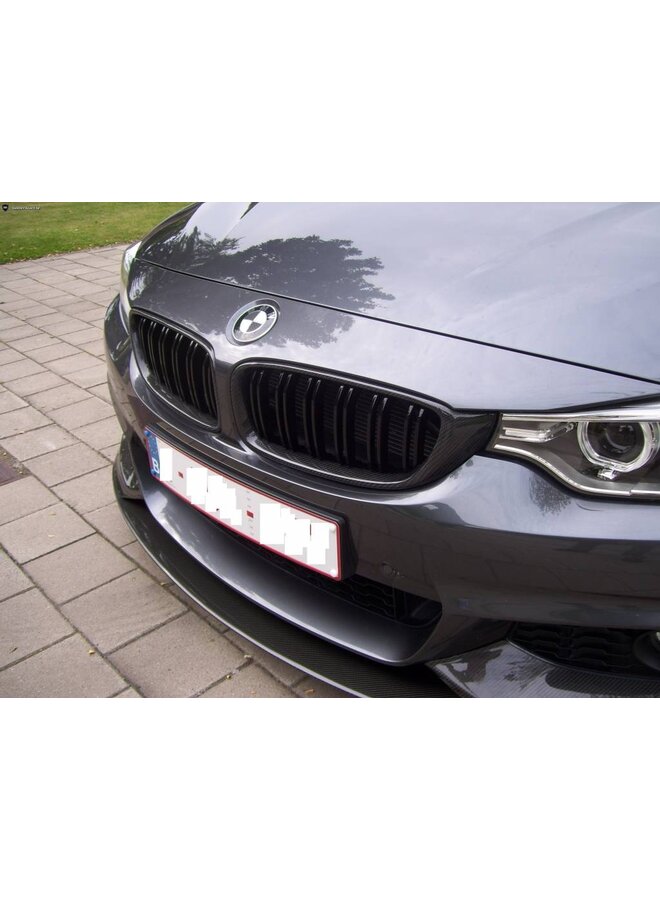 Carbon-Grillnieren BMW 4er F32 F33 F36