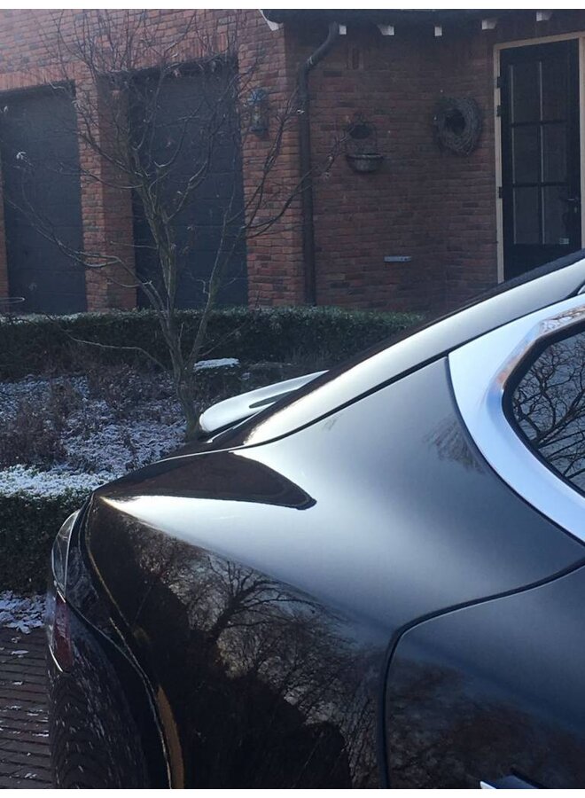 Spoiler per bagagliaio in carbonio Tesla Model S Performance