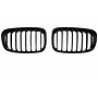 Glans zwarte nieren BMW 1 Serie F20 F21 Pre-LCI