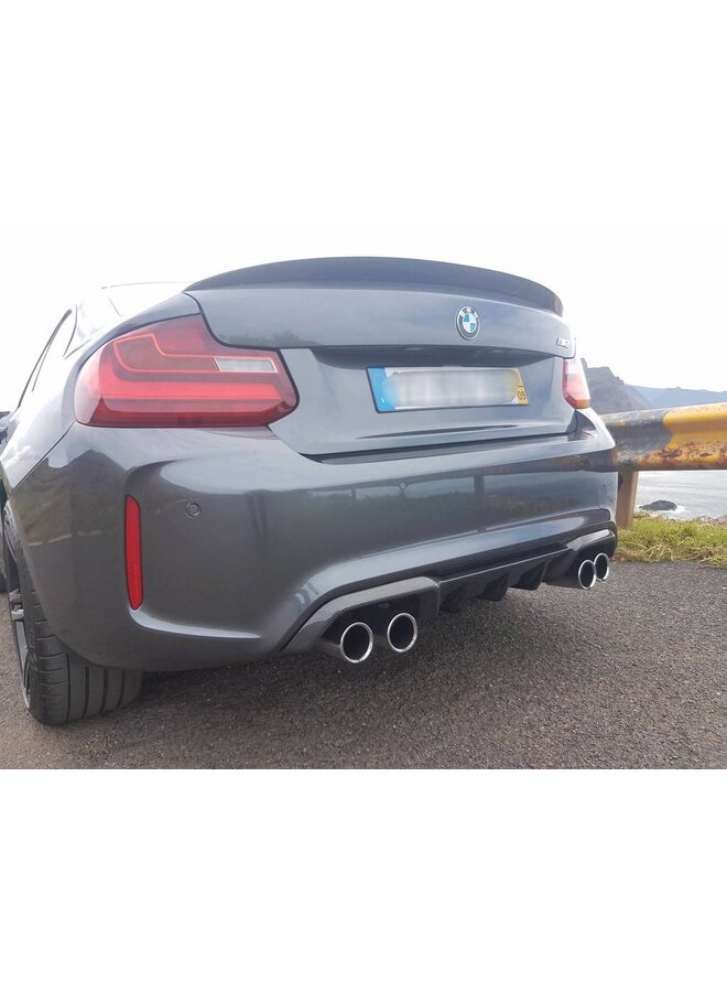 Carbon-Performance-Paket M2