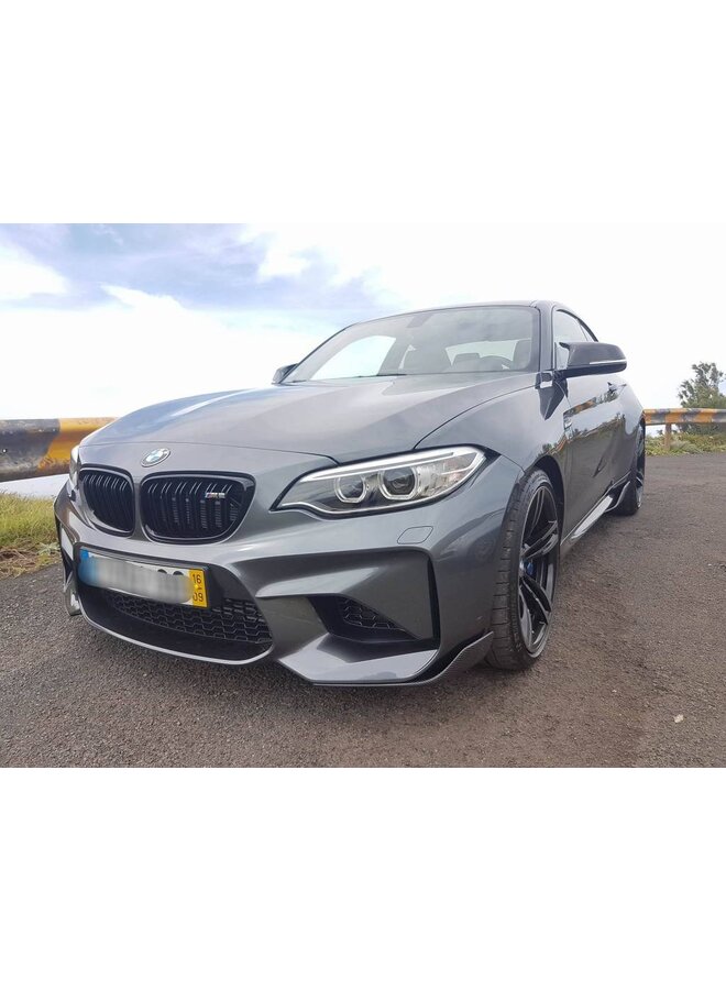 Carbon-Performance-Paket M2