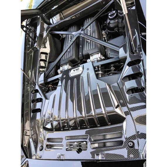 Paneles de carbono del compartimento del motor