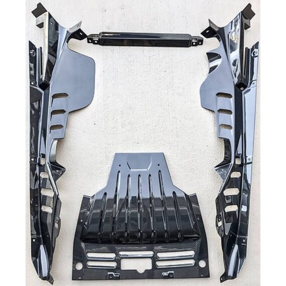 Paneles de carbono del compartimento del motor
