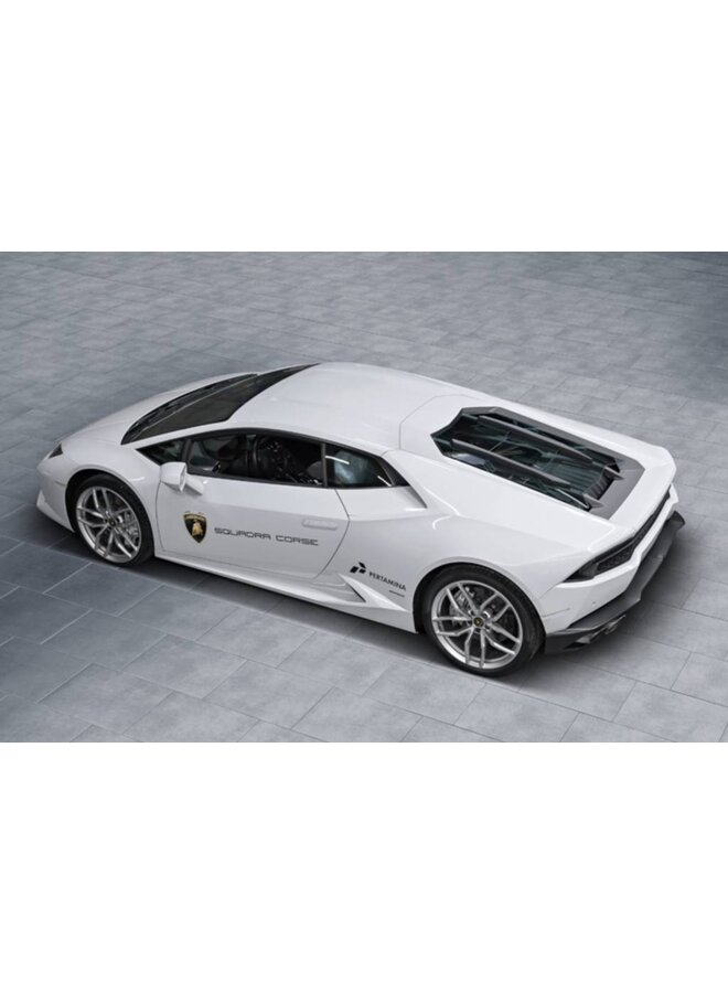 Capô Capristo Carbono Huracan