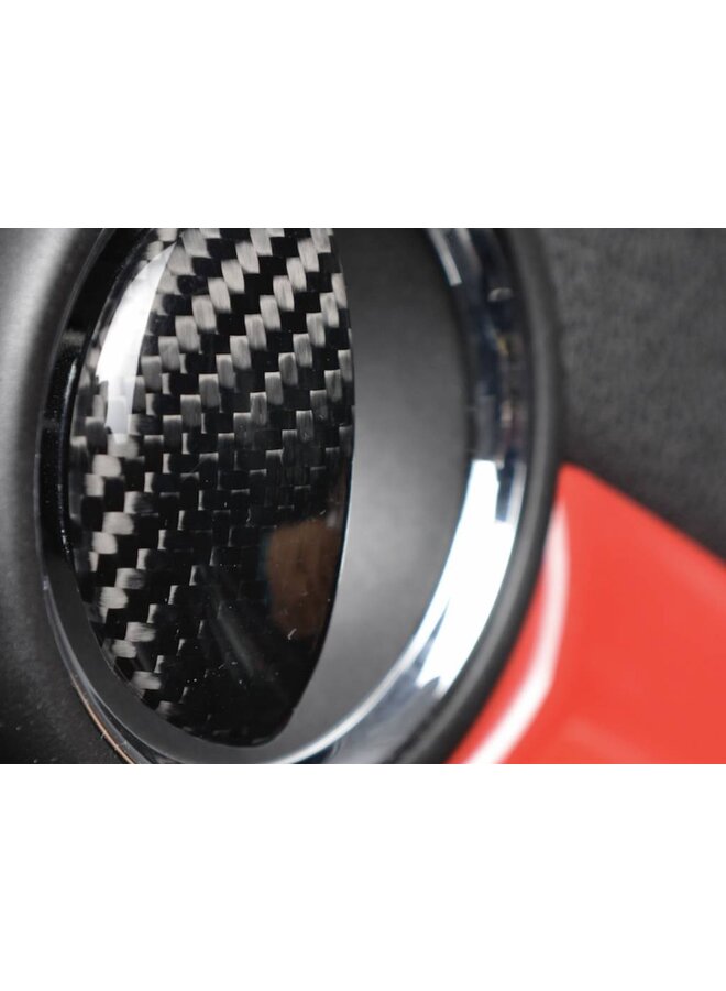 Carbon deur opener interieur Mini Cooper R56