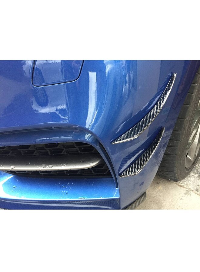 Canard in carbonio F22/F23