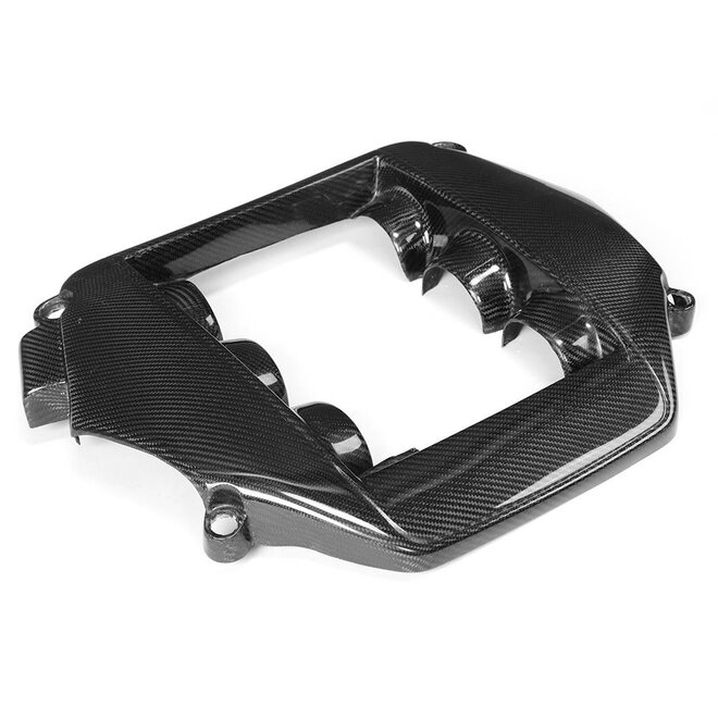 Carbon motor cover