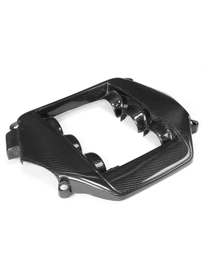 Cache moteur carbone GTR