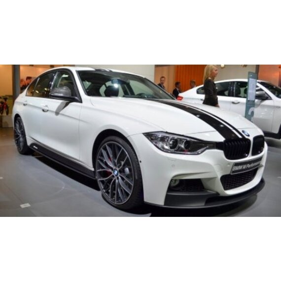 BMW F30 AERODYNAMICS - Swiss Tuning Onlineshop - BMW F30 F31 SPORTGRILL  online bestellen bei
