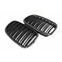 Carbon grill kidneys F15 F16