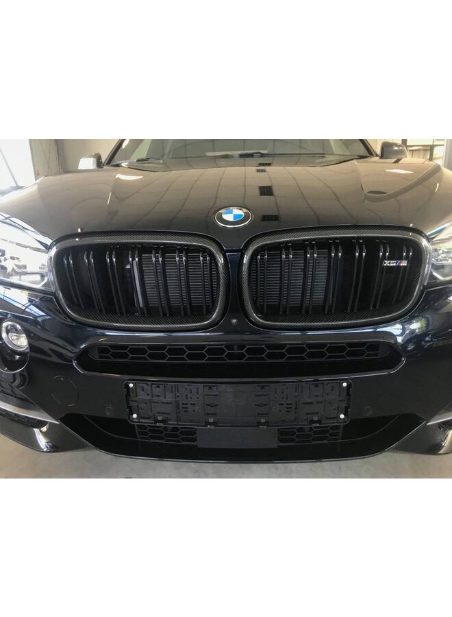 Carbon-Grillnieren F15 F16