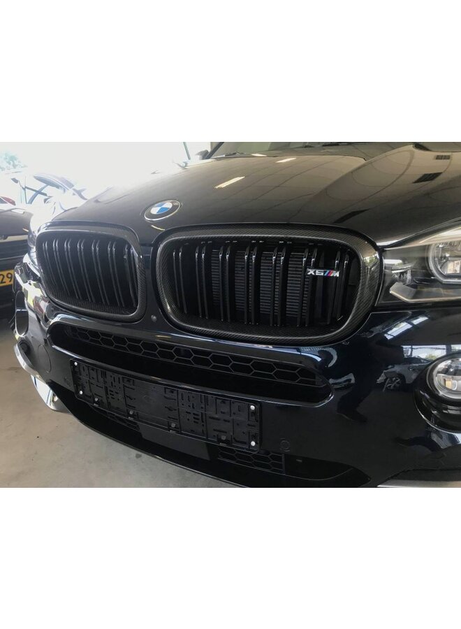 Carbon grill kidneys F15 F16