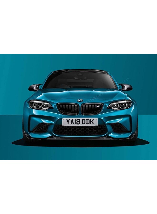 Lèvre avant style Compétition Carbone F87 M2