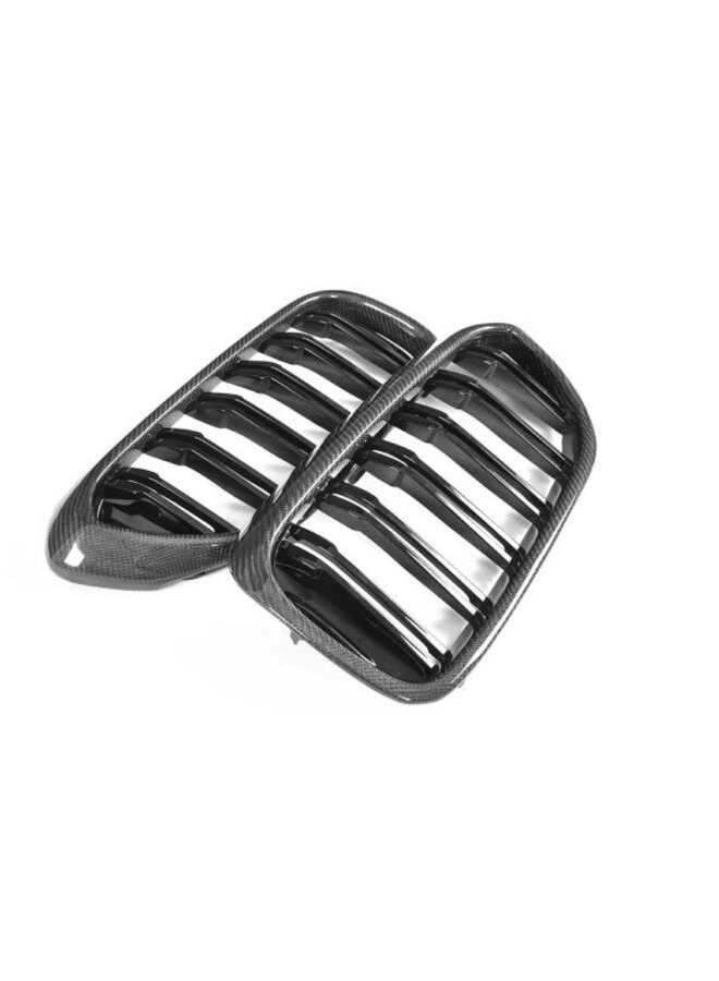 Reni della griglia in carbonio BMW Serie 5 G30 G31