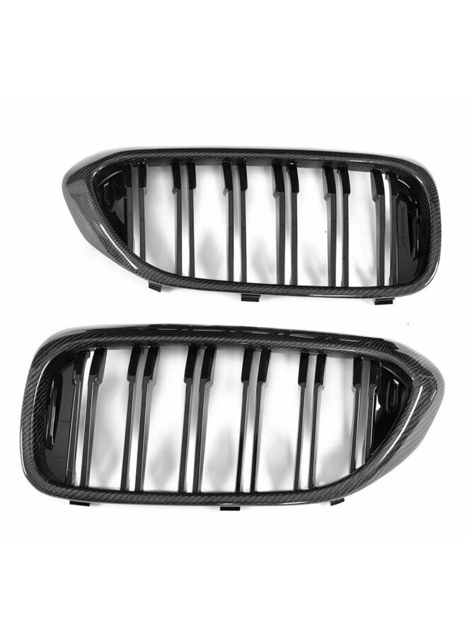 Carbon grill kidneys BMW 5 Series G30 G31