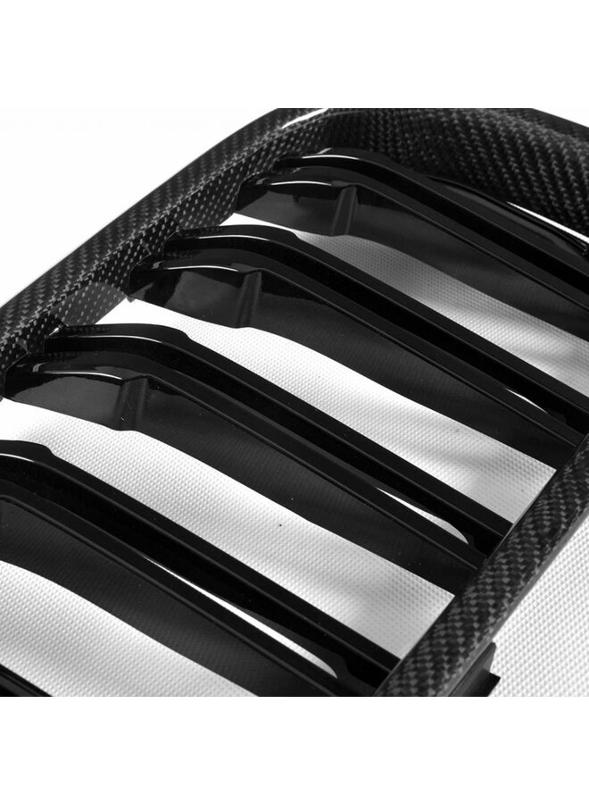 Carbon grill kidneys BMW 5 Series G30 G31