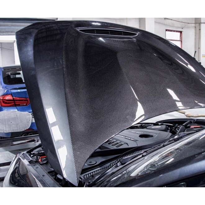 Carbon GTS hood