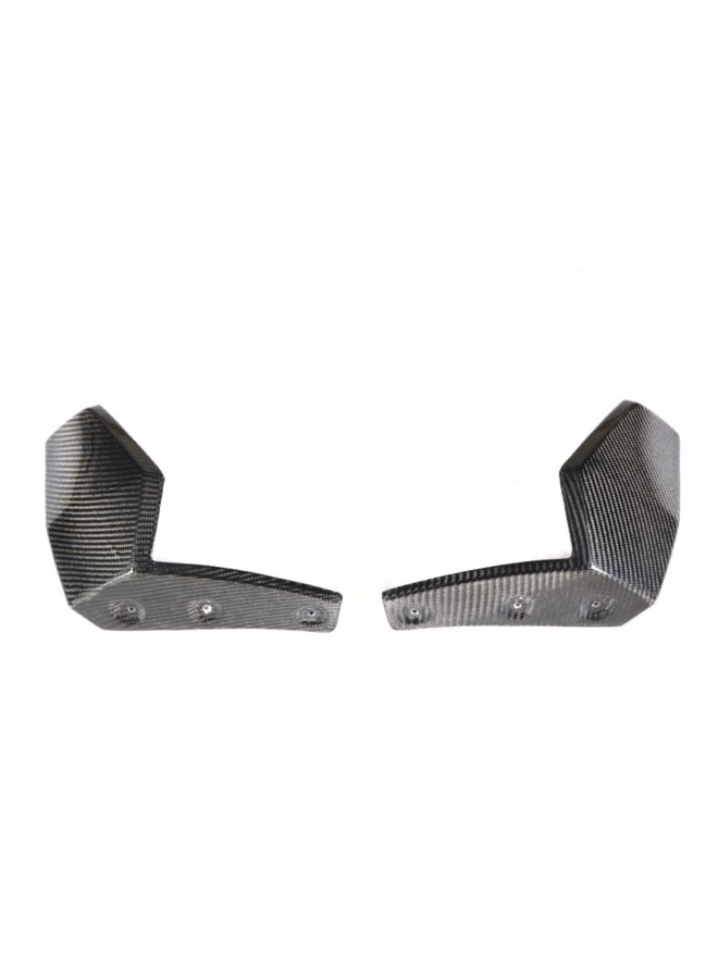 Divisor de carbono BMW G05 X5