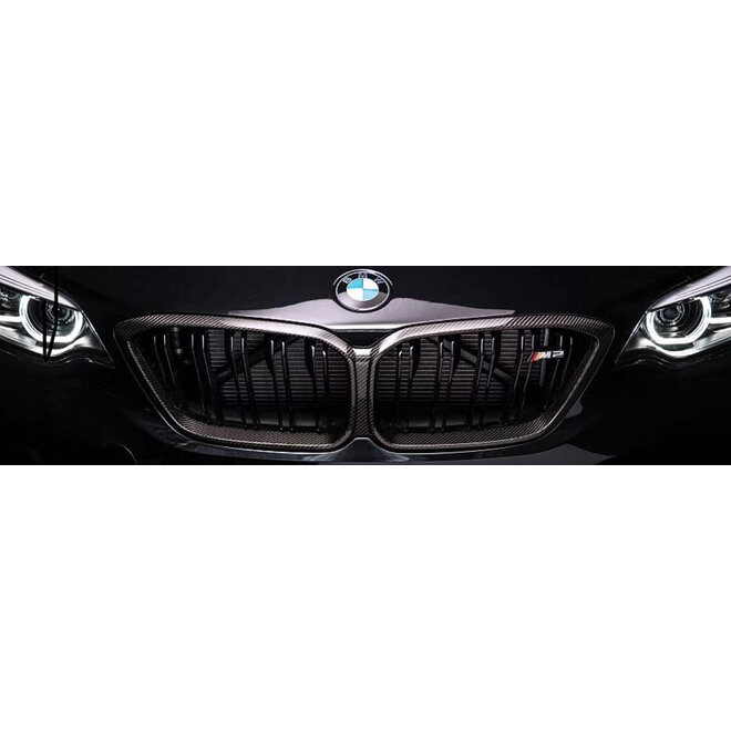 Calandre carbone BMW F87 M2 Compétition