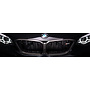Carbon grill kidneys BMW F87 M2 Competition
