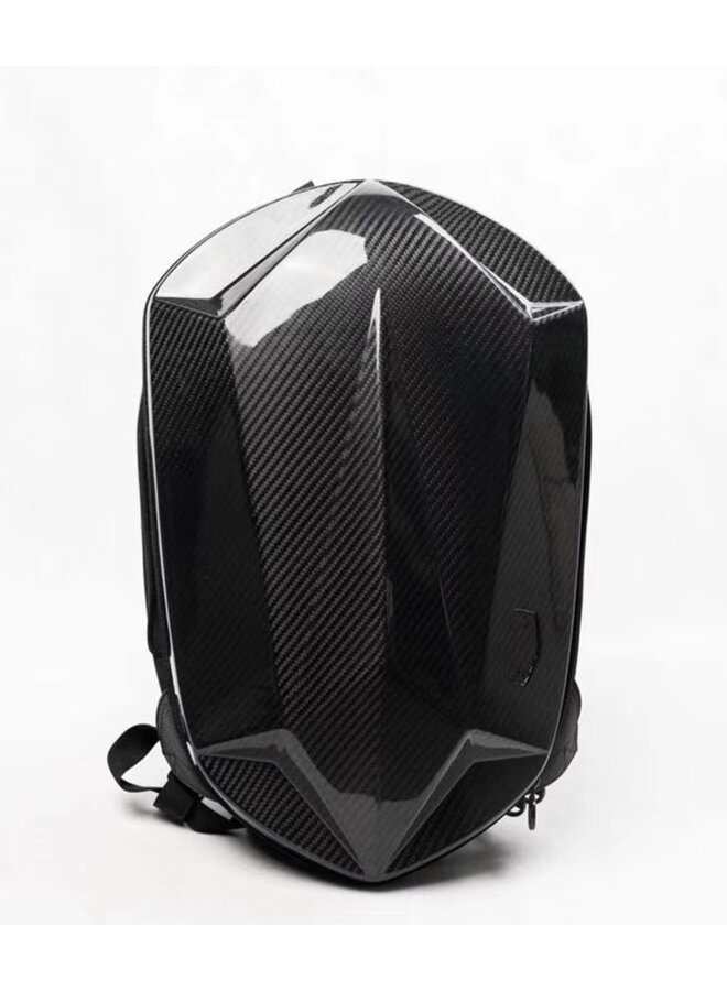 Carbon backpack