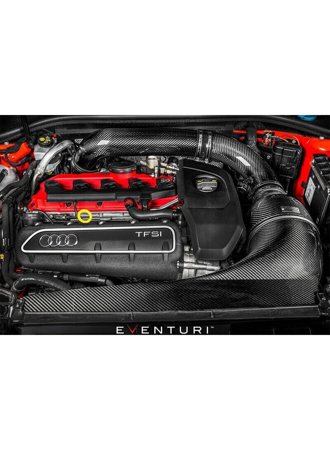 Admision de carbono Eventuri Audi RS3 8V