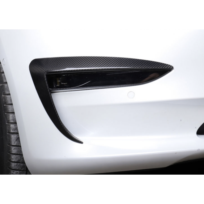 Carbon canard Tesla Model 3